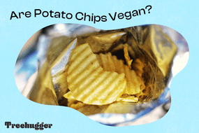 薯片是玻璃纸袋中的素食主义者插图