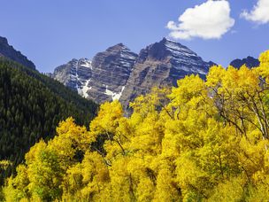 栗色钟山峰和白杨树在秋天的颜色
