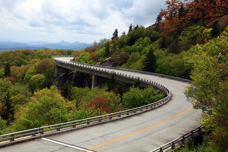 树木环绕的曲折道路