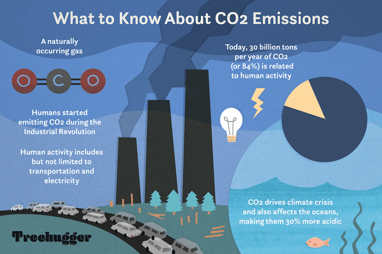彩色图表说明二氧化碳排放如何影响气候危机