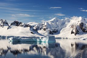 将帕尔默群岛与南极半岛远离抗anvers岛的Gerlache海峡。南极半岛是地球上最快的变暖区域之一。“width=