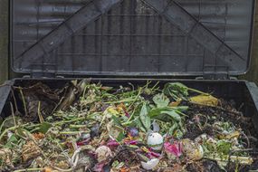 一个开放的家庭堆肥箱的特写，装满了厨房和花园的有机垃圾。＂width=