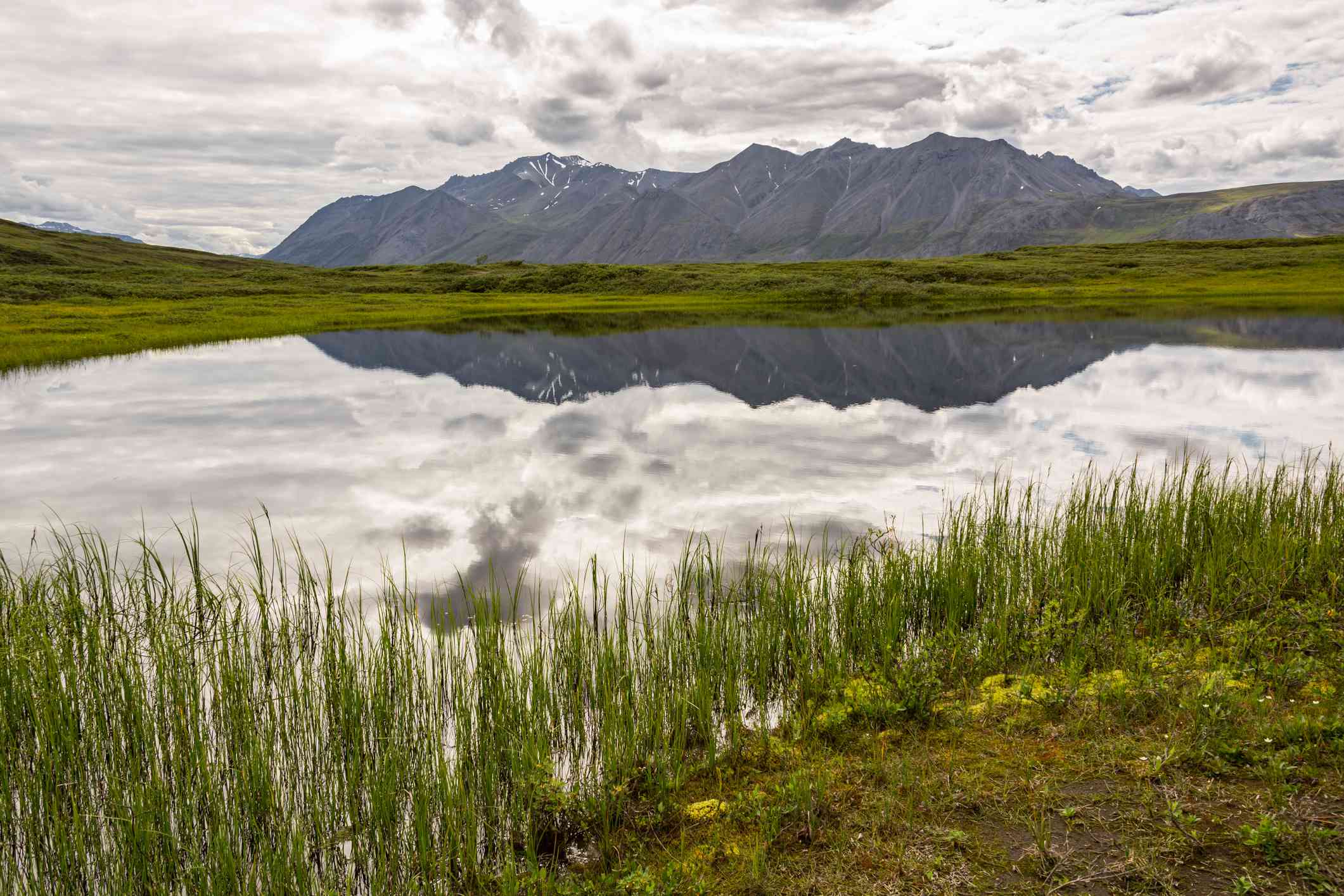 在阿拉斯加的北极国家野生动物保护区，布鲁克斯山脉和多云的天空反射在热喀斯特地貌上。＂width=