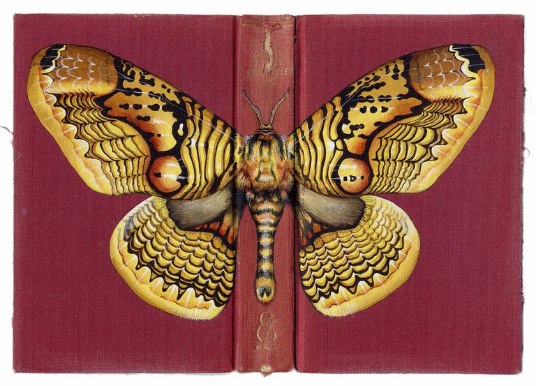 画在书封面上的昆虫