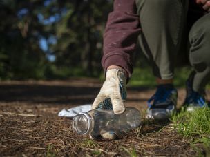在森林里收集塑料垃圾的妇女