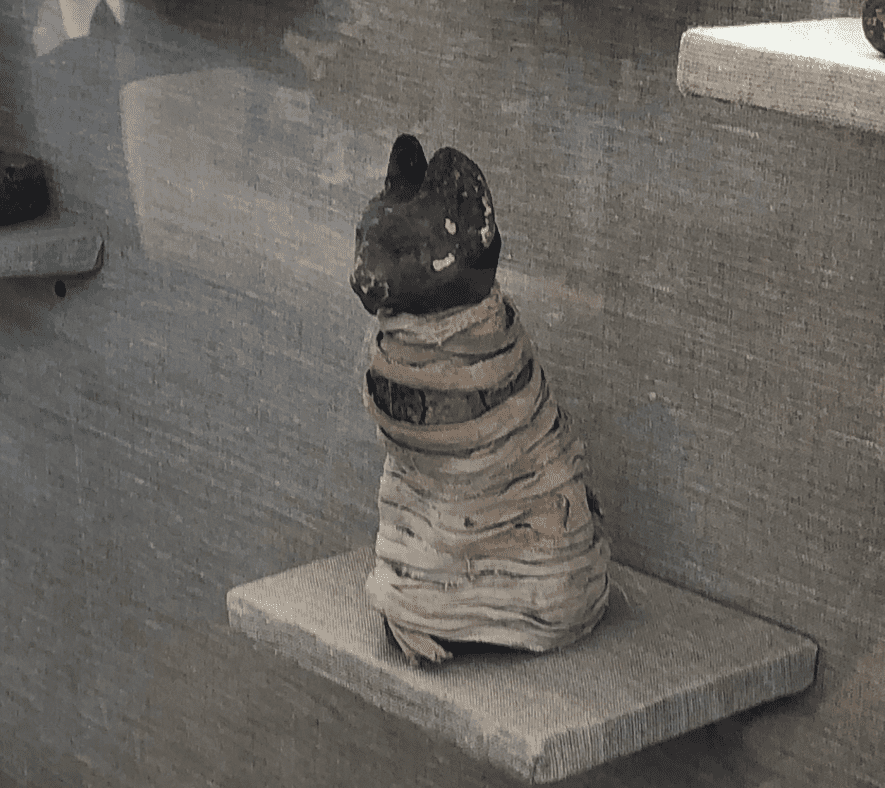 埃及墓中猫的青铜雕像
