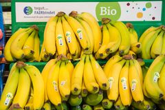 德国出售生物香蕉