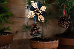圣诞节装饰品和松果悬挂在活盆栽树上