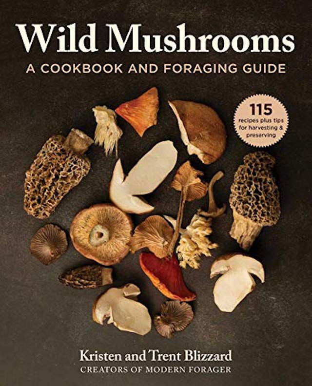 野生蘑菇:烹饪书和觅食指南