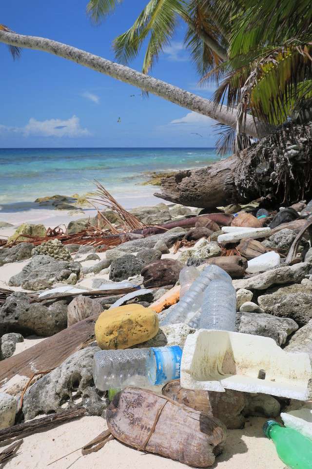 查戈斯群岛的塑料污染“width=