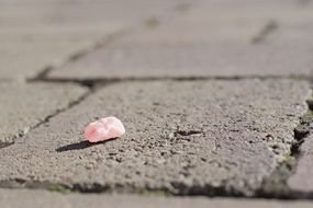 粉红色用过的口香糖在人行道上吐出“width=