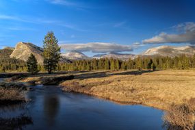 Tuolumne River