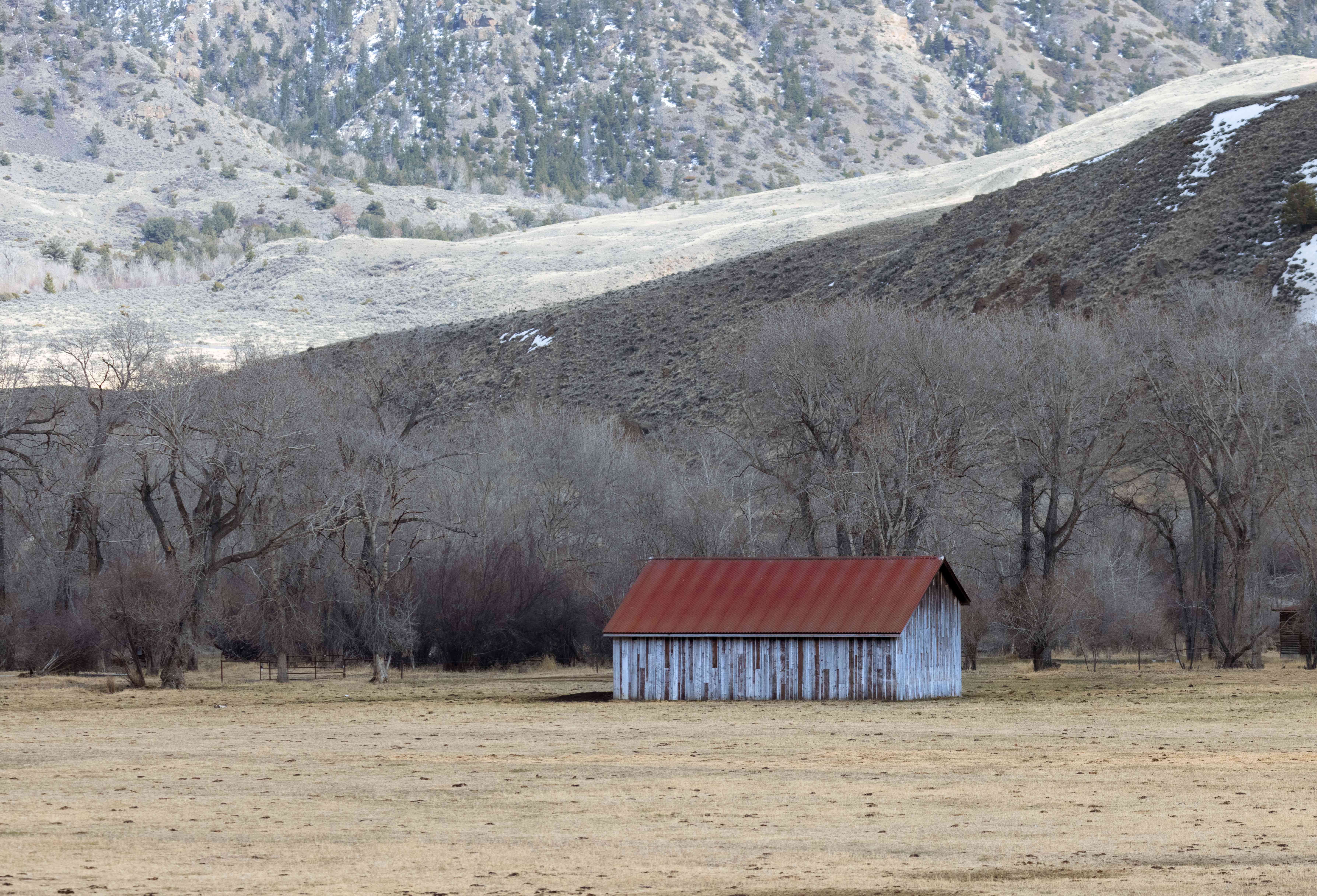 风化木谷仓与红色屋顶在冬天的田野与山为背景