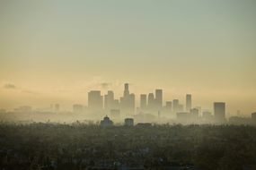氮氧化物污染导致了城市上空不健康的雾霾。”width=