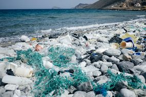 海滩上的塑料污染“width=