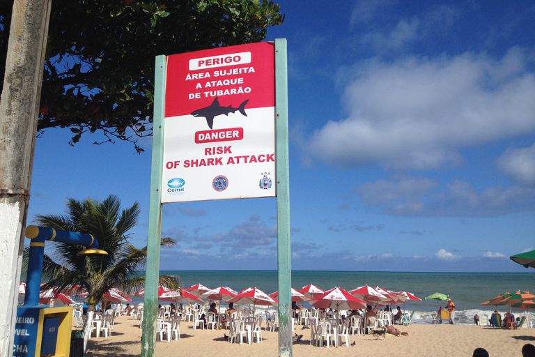 在累西腓,巴西鲨鱼攻击的迹象