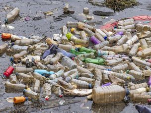 英国加的夫——4月09日:一次性塑料瓶漂浮在英国加的夫湾附近的污水中。