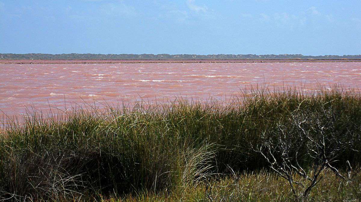赫特泻湖在澳大利亚西部”width=