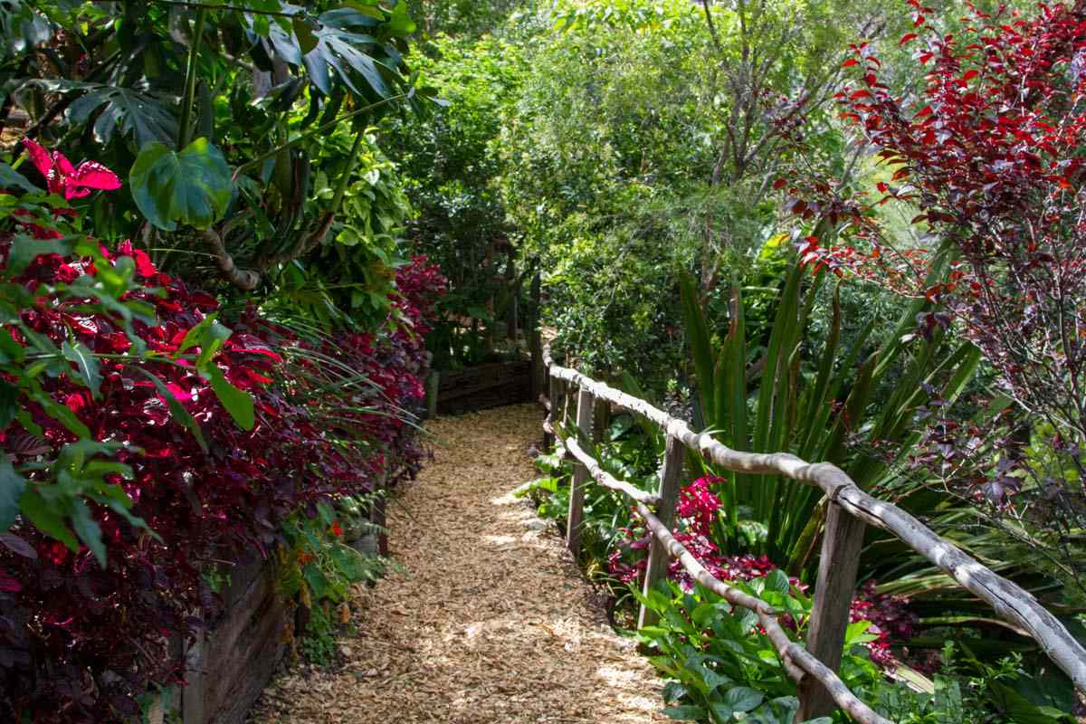 这是一条通往温迪秘密花园的自然步道，有一条用树枝做成的质朴的扶手，周围是高大茂盛的植物，小径两旁种着酒红色、绿色和红色的植物