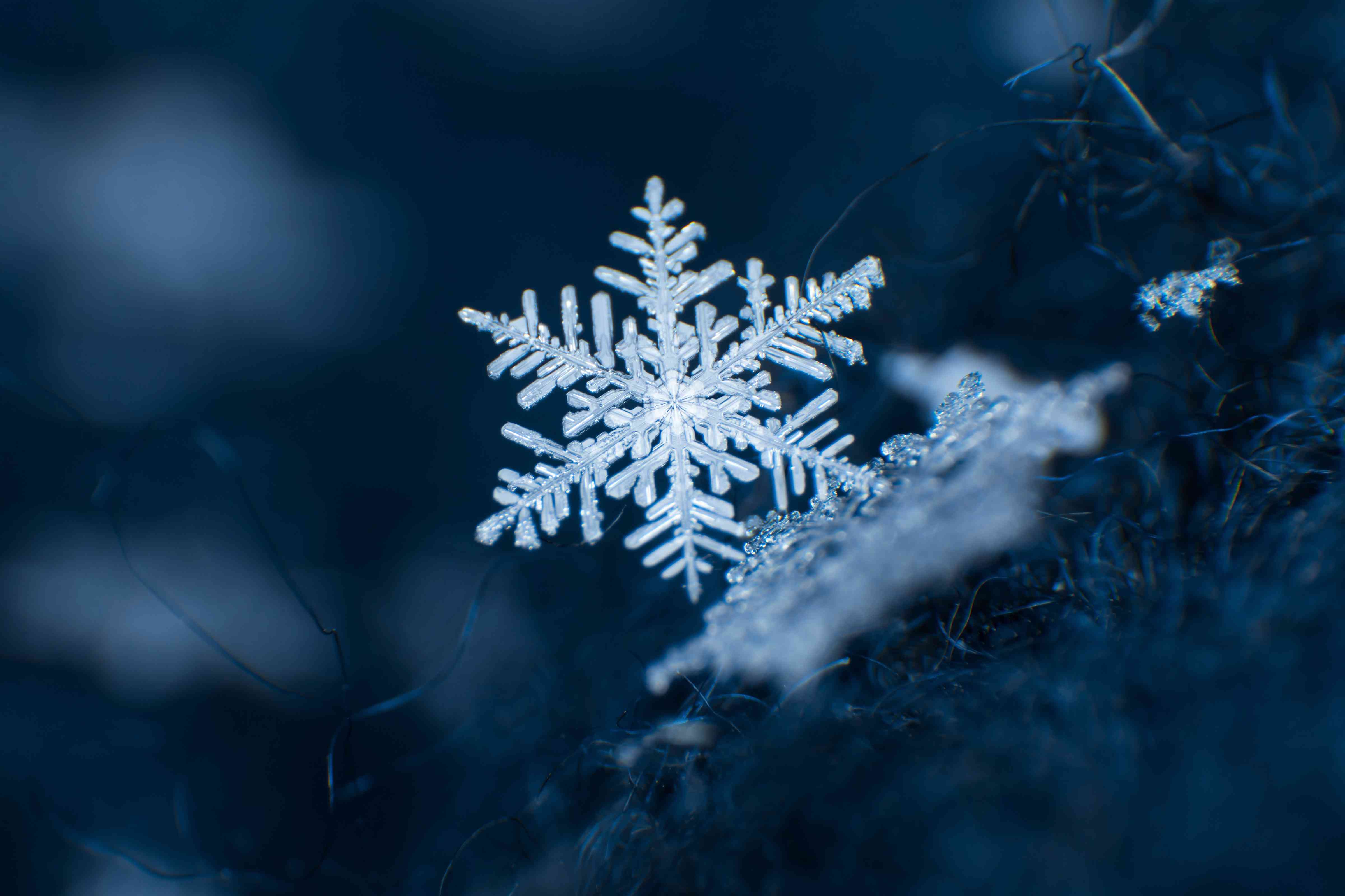 Snowflake on a dark blue background