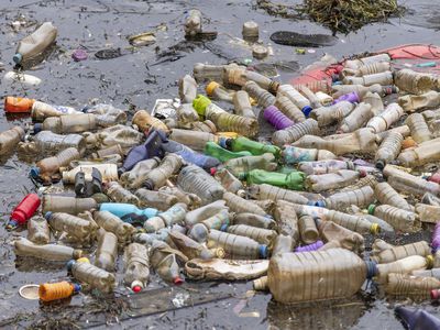 英国卡迪夫- 09年4月:单独使用塑料瓶看到漂浮在卡迪夫湾附近的污水在卡迪夫,英国。