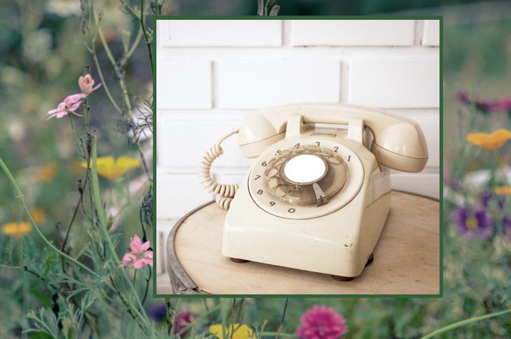 a vintage telephone against a meadow background