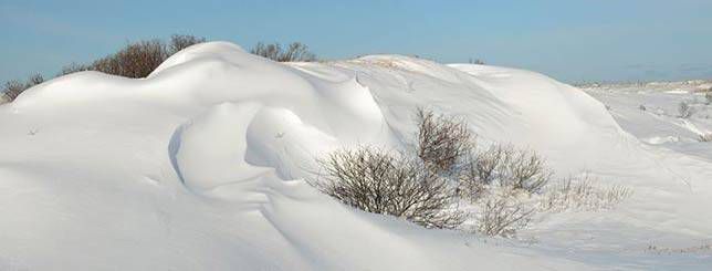 马萨诸塞州帕克河国家野生动物保护区的雪沙丘。