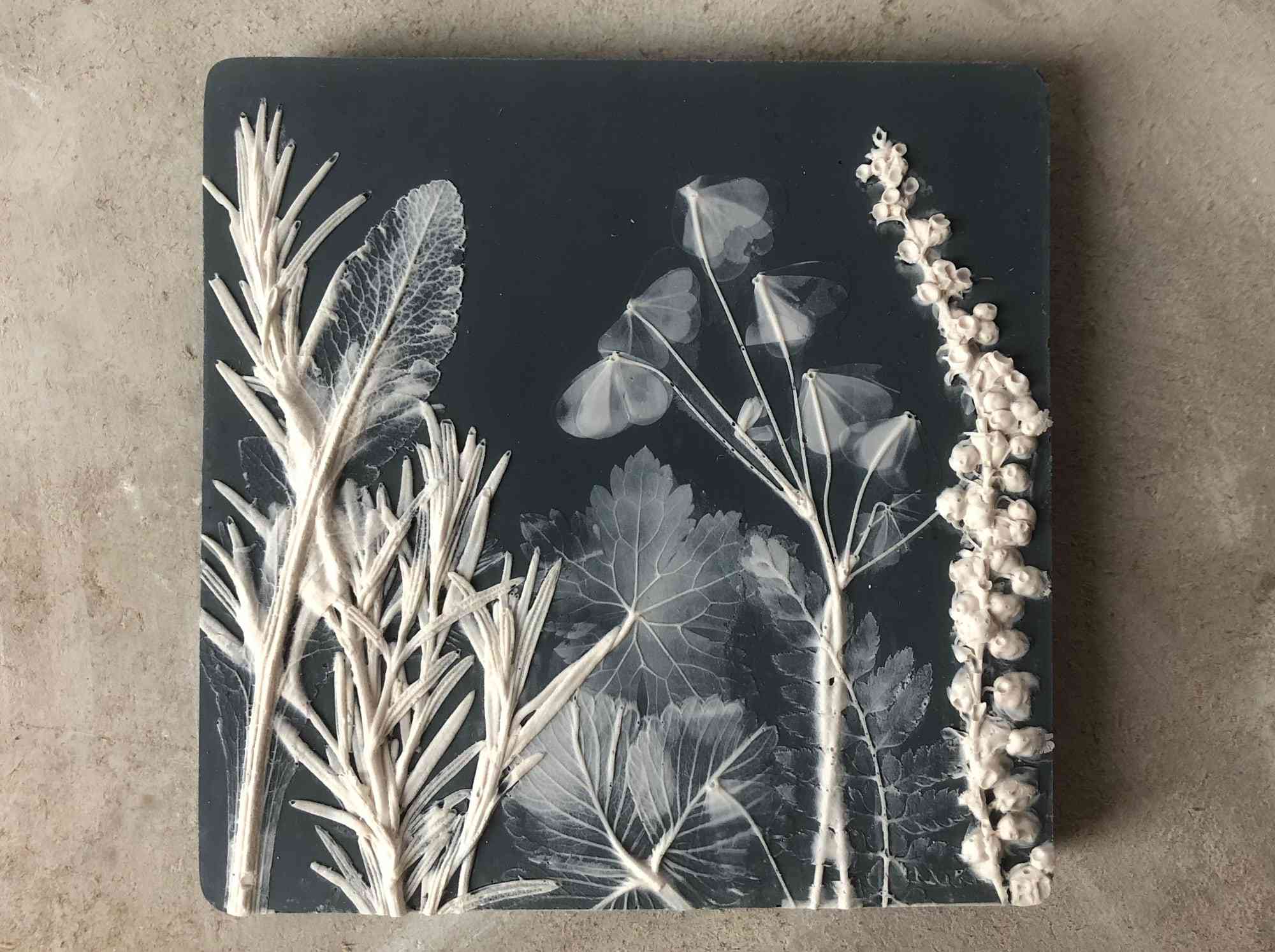 Rachel Dein的植物学Bas浮雕