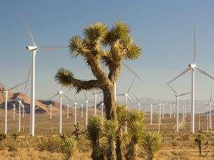 Tehachapi Pass风电场的一部分，这是美国，加利福尼亚，美国和约书亚树开发的第一个大型风电场。