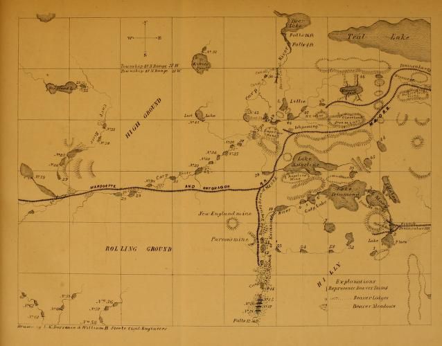 海狸水坝在密歇根的地图