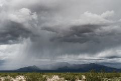 在加利福尼亚的莫哈韦沙漠上下雨。