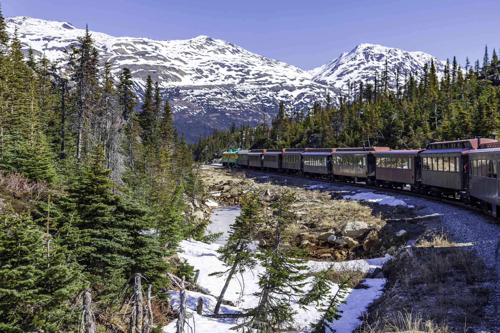 一列客运列车穿行在松树和雪山的风景中