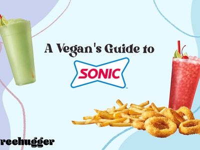 Sonic素食指南。