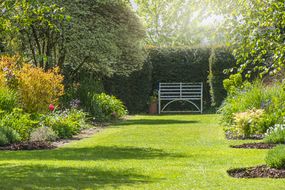 在夏日阳光明媚的英国花园，草地上的一张锈迹斑斑的白色锻铁长凳