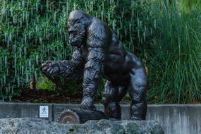 塔科马动物园里的大猩猩伊凡铜像。＂width=