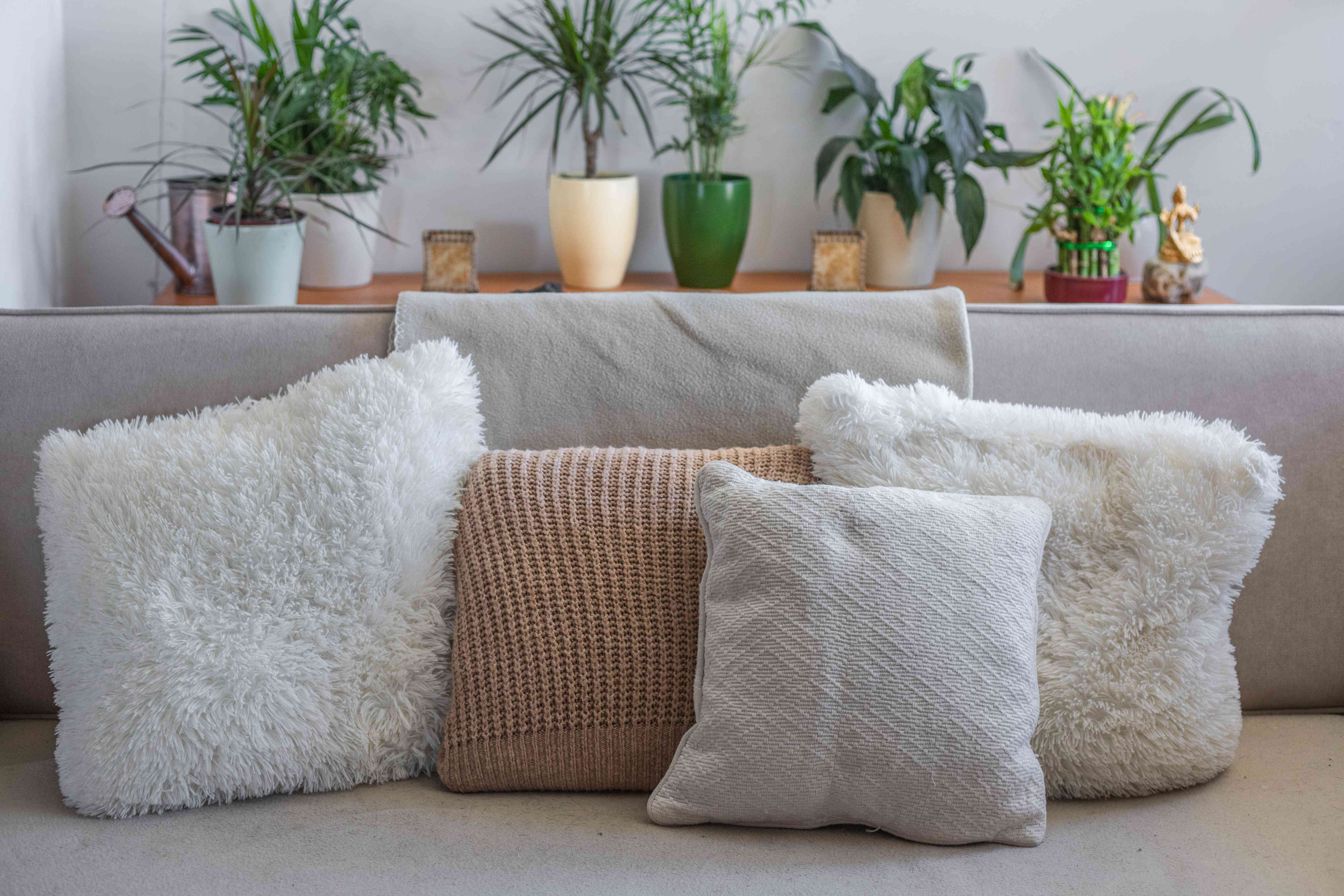 重新利用厚实的毛衣变成枕套，摆放在沙发上，背景是植物