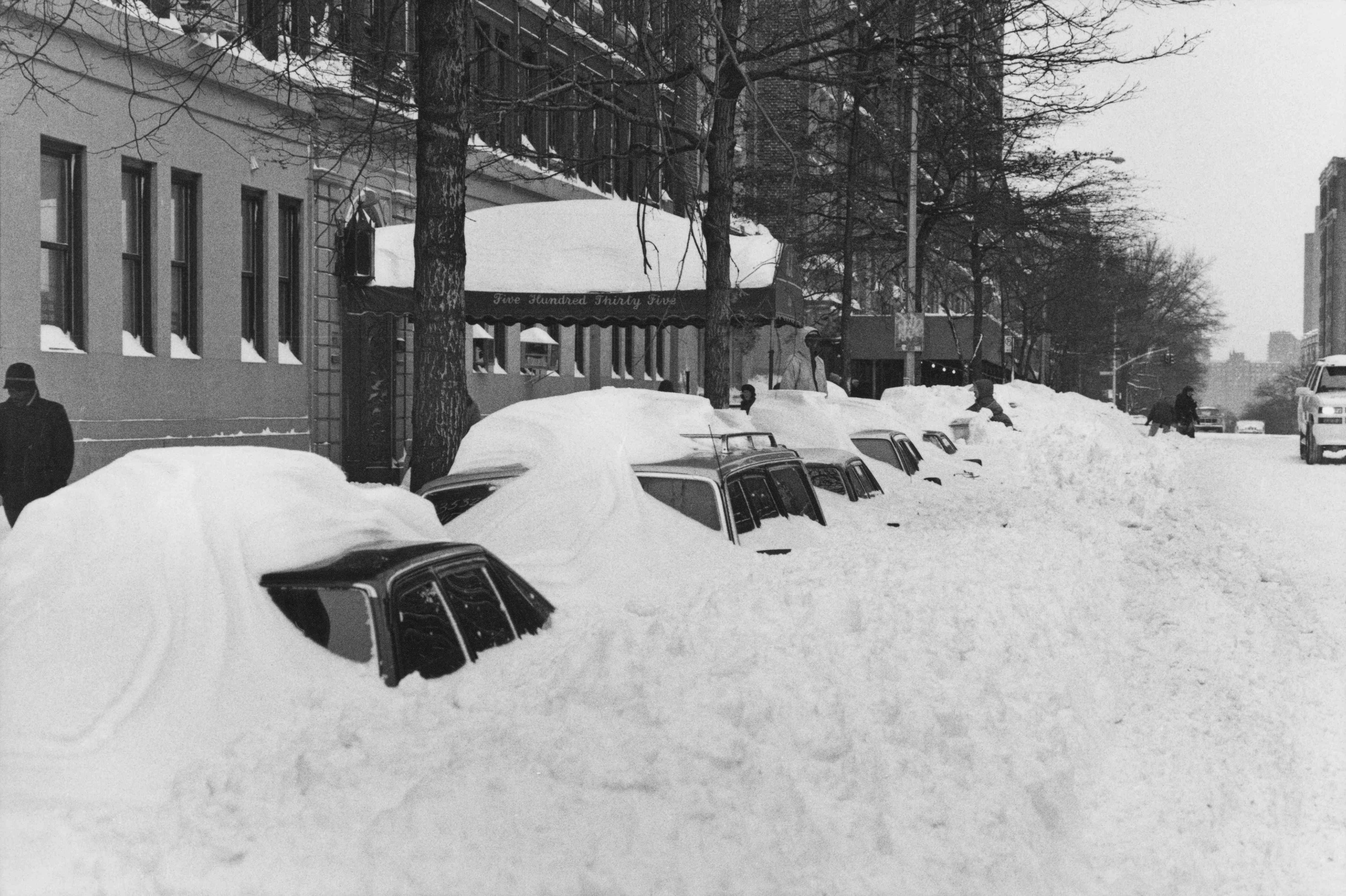 车片雪1996年暴雪