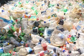 塑料瓶在回收工厂里
