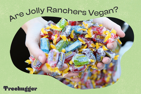 Jolly Ranchers素食照片插图是“width=
