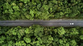 道路穿越绿色森林，鸟瞰道路穿越森林。＂width=