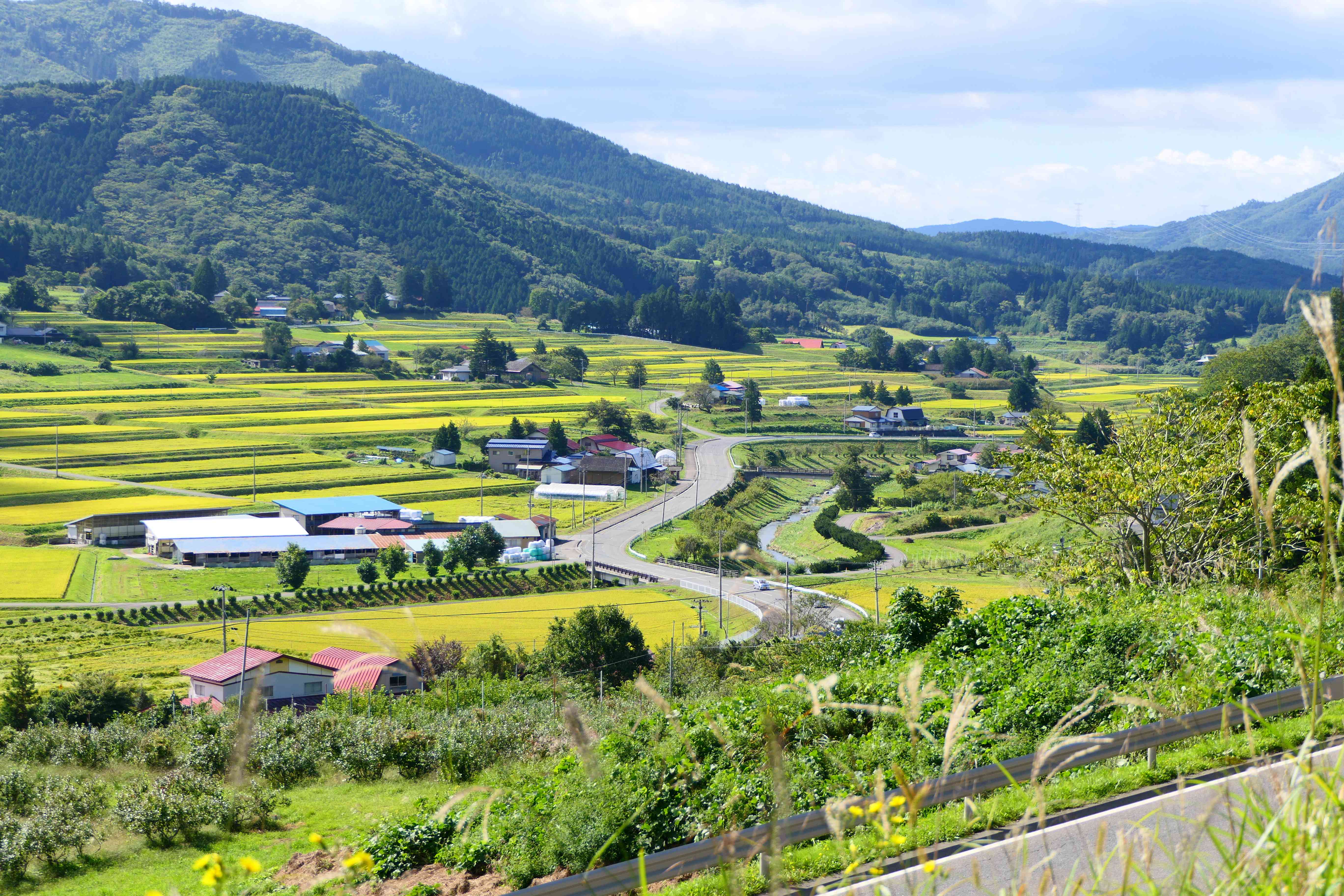 明媚的一天，日本东野美丽的山谷