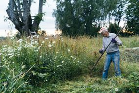 一位老人在后院的野花丛中劳作