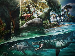 一亿两千五百万年前恐龙的艺术再现