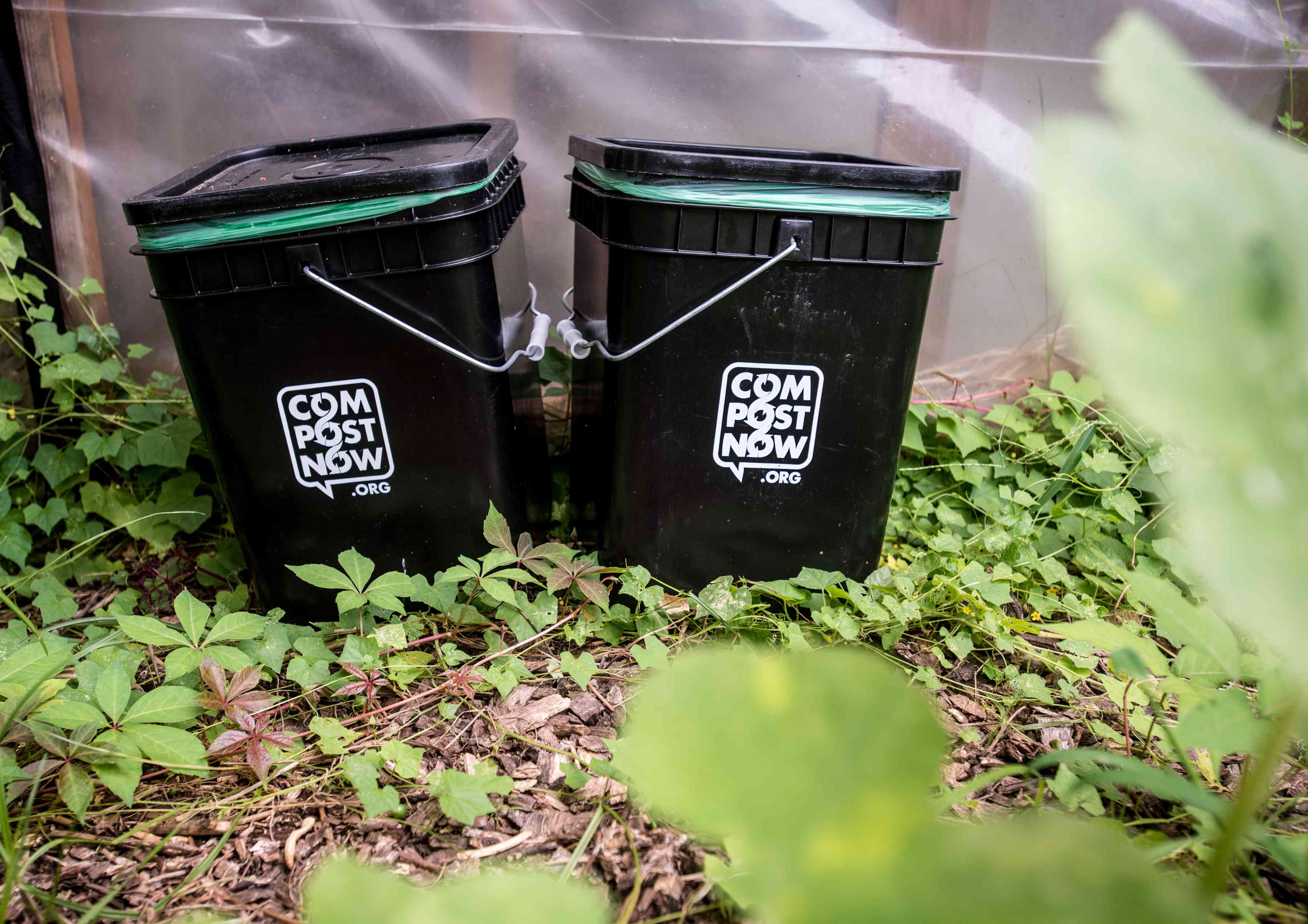两个黑色的堆肥箱放在外面的绿色藤蔓上