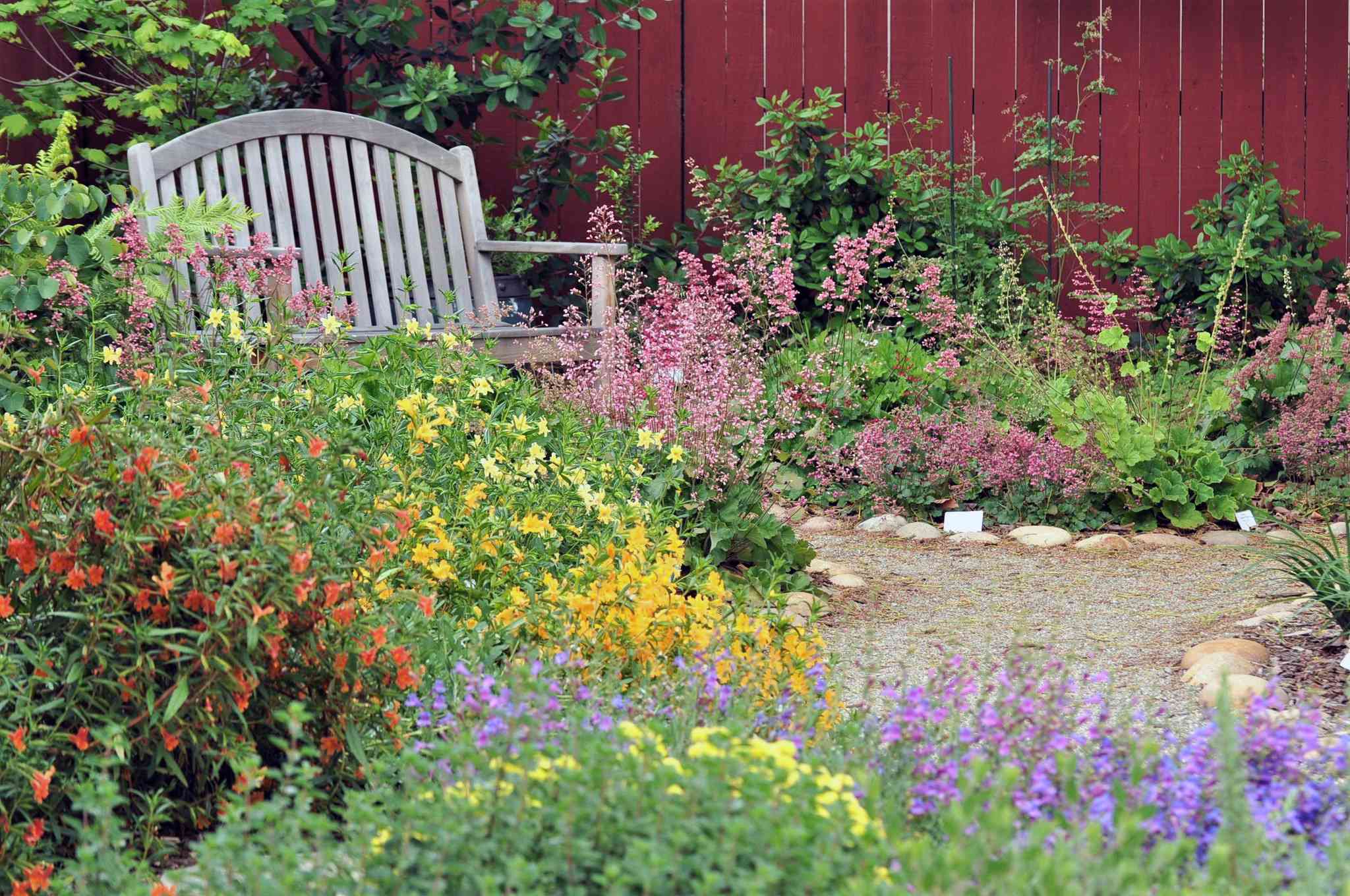 有长凳的花园里种着本地的花