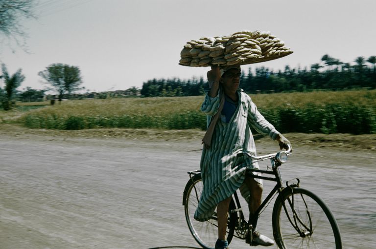 一个骑自行车的埃及人，头上顶着一盘面包。