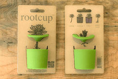 rootcup绿色