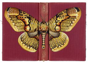 罗斯·桑德森在书的封面上画了昆虫