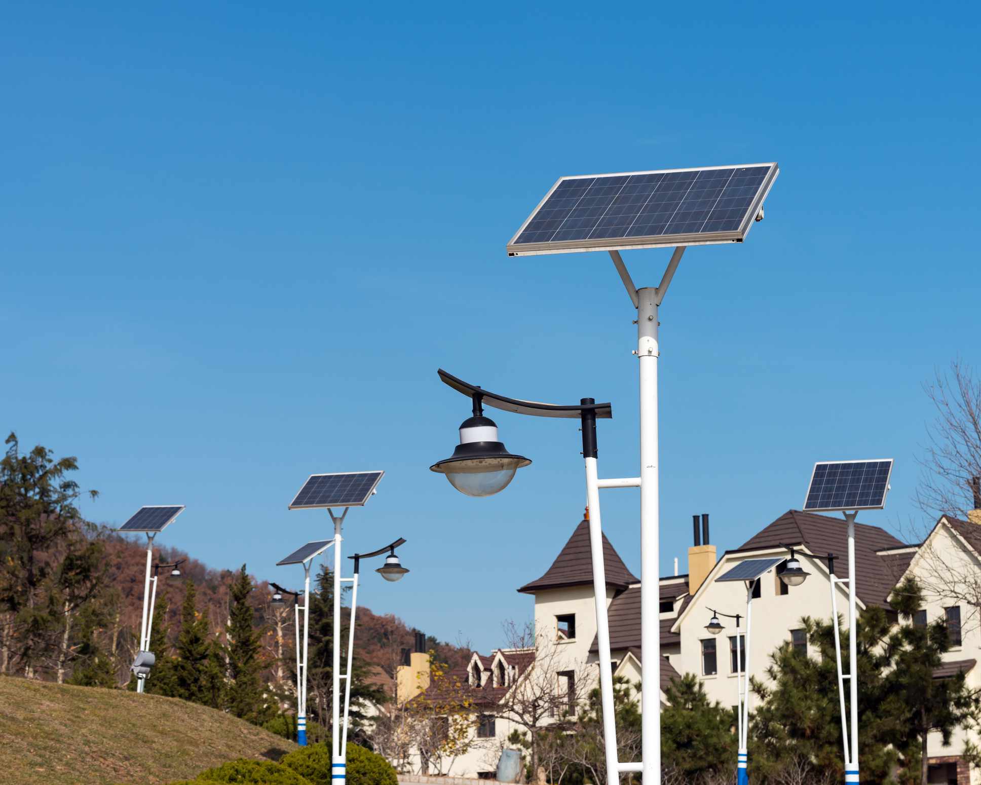 一排太阳能路灯矗立在森林和住宅区之间。