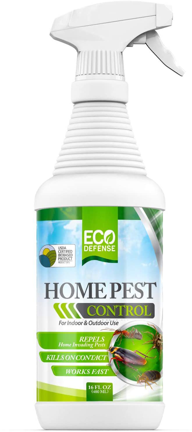 Eco Defense Home Pest Control Spray